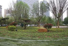 中国滨州 滨州市门户网站 市城管局组织实施景观提升改造工程促渤海十八路颜值气质双提升